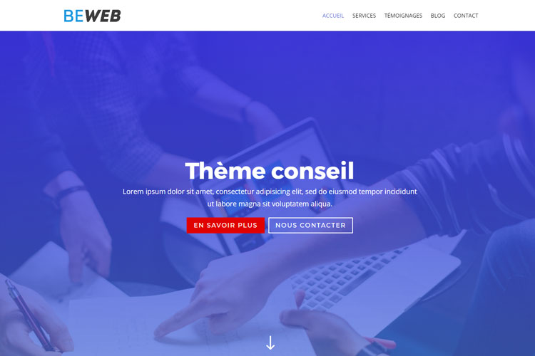 Portfolio - Site internet conseil
